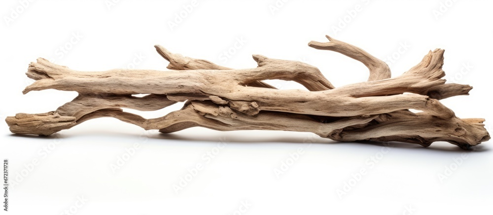 Driftwood placed against a blank white surface for your creative photo manipulations and collages