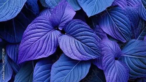  a close up of purple leaves with green leaves on them. generative ai
