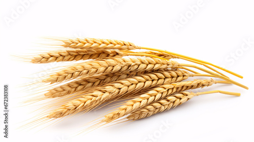 A cluster of wheat in sharp focus, symbolizing the concept of harvest.