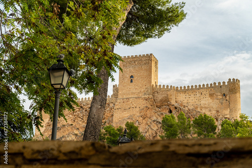  Landscape with Almansa castle on background.  photo