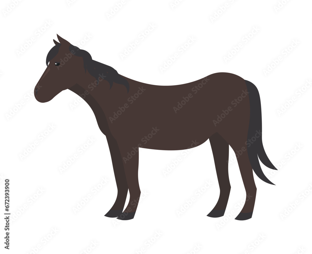 Horse domestic animal, vector illustration Standing. Side view. Flat illustration. farming, agricultural species 