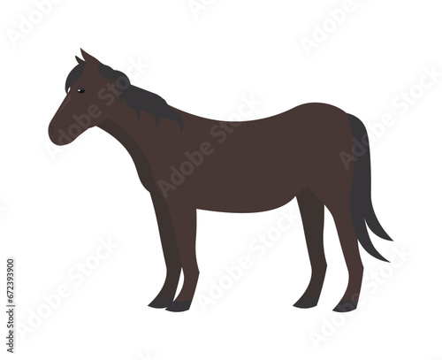 Horse domestic animal  vector illustration Standing. Side view. Flat illustration. farming  agricultural species 