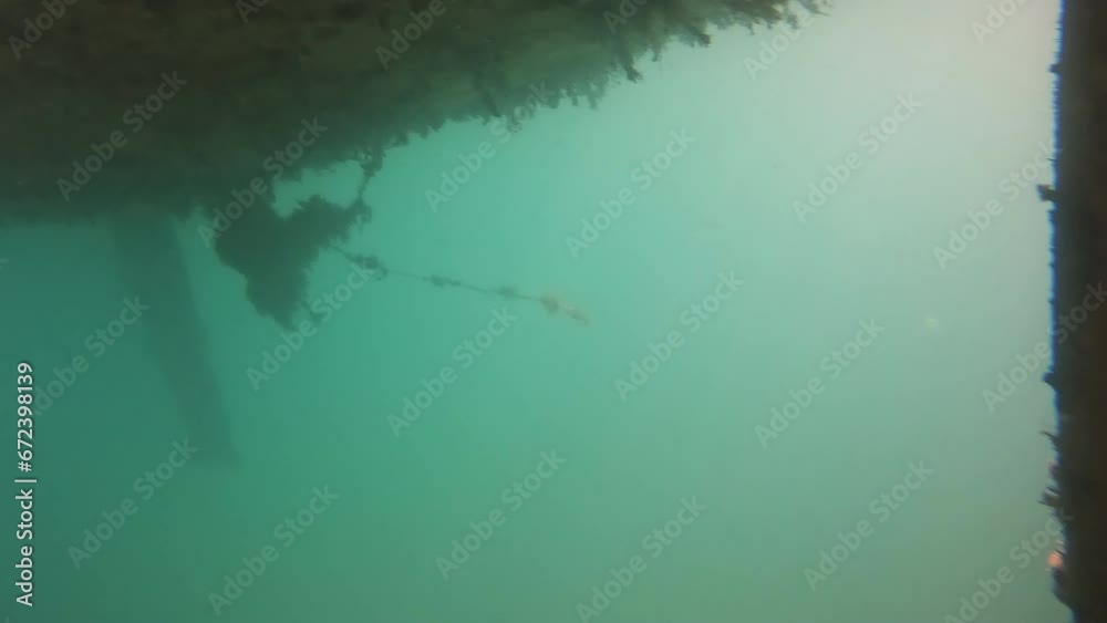 Underwater view of Algae Overgrown on the lower part of the hull of a Sailboat 4K Video Underwater view of Algae Overgrown on the lower part of the hull of a Sailboat 4K Video