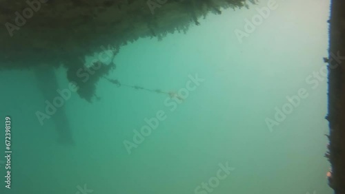 Underwater view of Algae Overgrown on the lower part of the hull of a Sailboat 4K Video photo