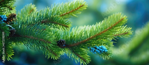 A living Christmas tree adorned with cones hangs on the boughs set against a natural backdrop The joyful spirit of the holiday season fills the air in the enchanted forest Its verdant needl photo