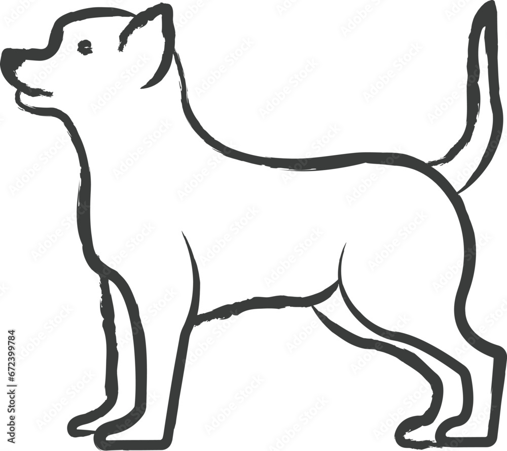 Chihuahua dog hand drawn vector illustration