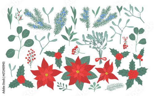 Winter flowers, berries and leaves set. Vector hand drawn Christmas floral elements with leaf, flower, fir, branches, berry. Design for invitations, greeting card, textile, fabric, posters