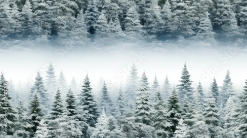  a group of trees covered in snow next to a forest filled with lots of tall pine trees on a snowy day. generative ai