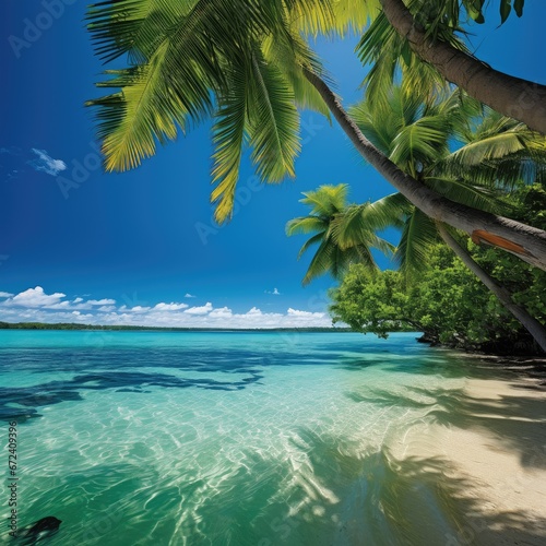 Tranquil Beach with Palm Trees and Blue Ocean