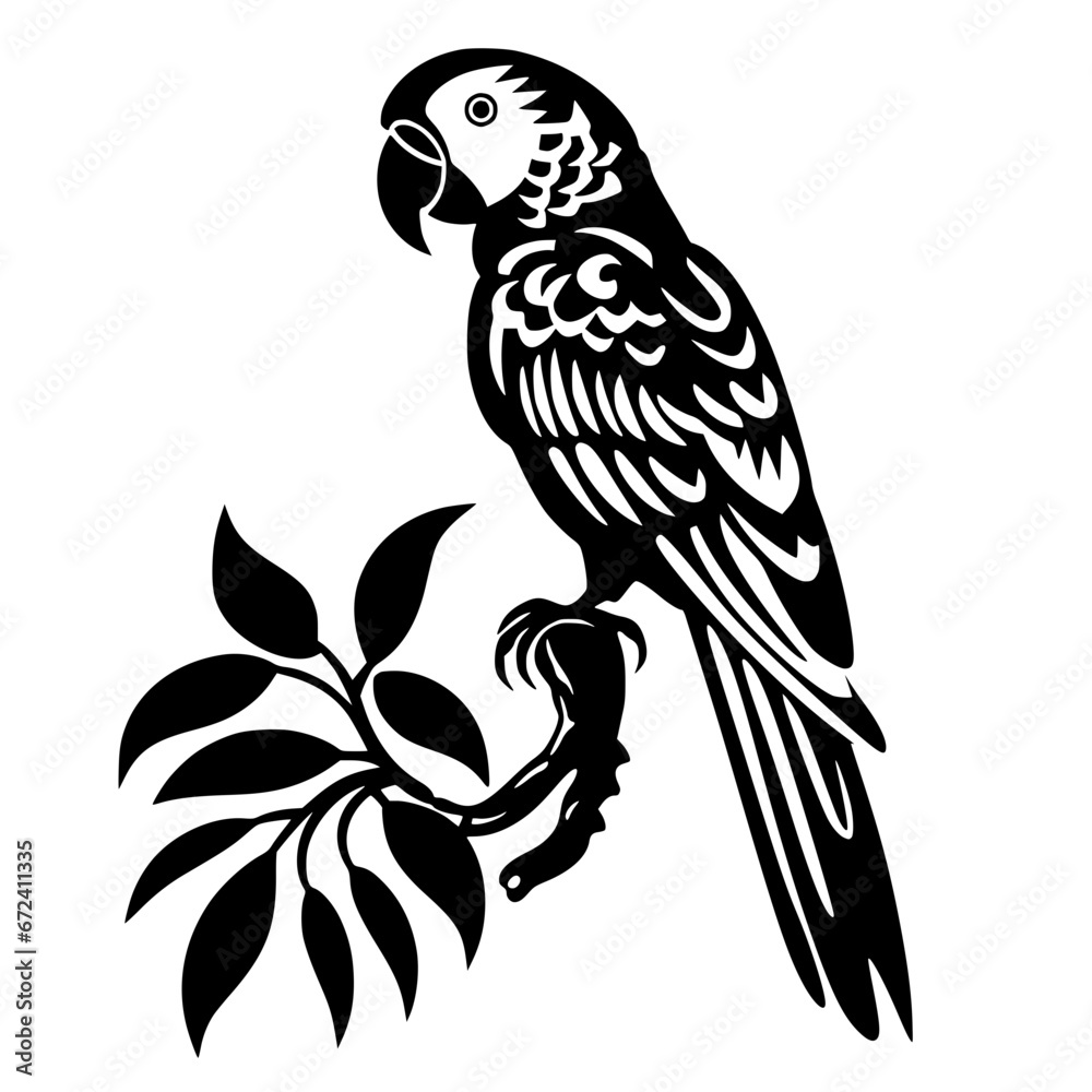 parrot vector parrot vector
