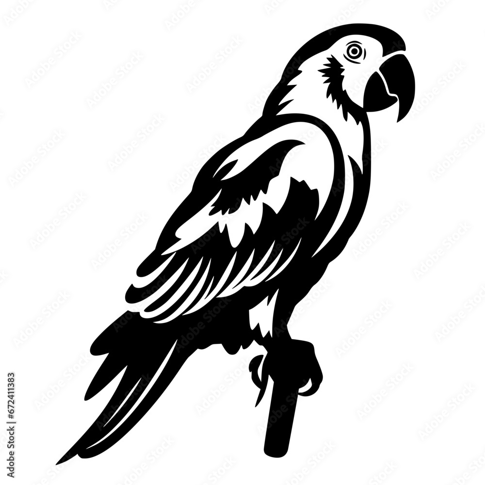 Obraz premium parrot vector