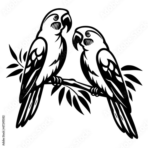 parrot vector