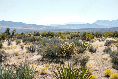 Red Rock Canyon National Conservation Area located in Mountain Springs  Nevada.