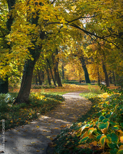 Piękna złota Polska jesień w Warszawskim Parku. Jesienne kolorowe alejki, klimatyczna pora roku