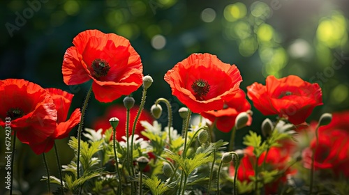  a bunch of red flowers that are in the grass and some grass in front of a blurry background of trees.  generative ai