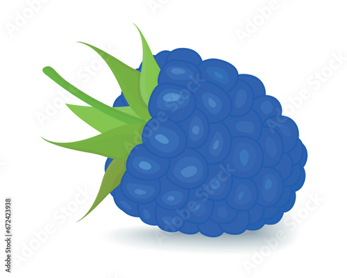  Blue Raspberry, a variety of blue raspberry, a sweet summer ripe berry with green leaves on top, isolated on a white background, for etiquette, magazines and recipe sites