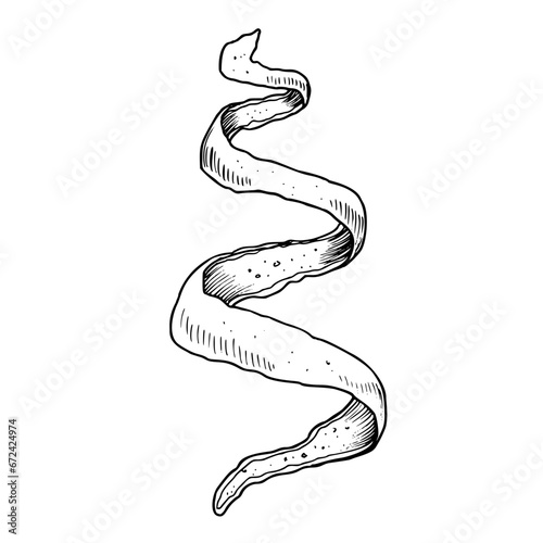 Spiral Orange Zest. Hand drawn vector illustration of Citrus twist Peel in black and white colors. Drawing of tropical fruit rind for product label. Sketch in engraving style painted by inks.