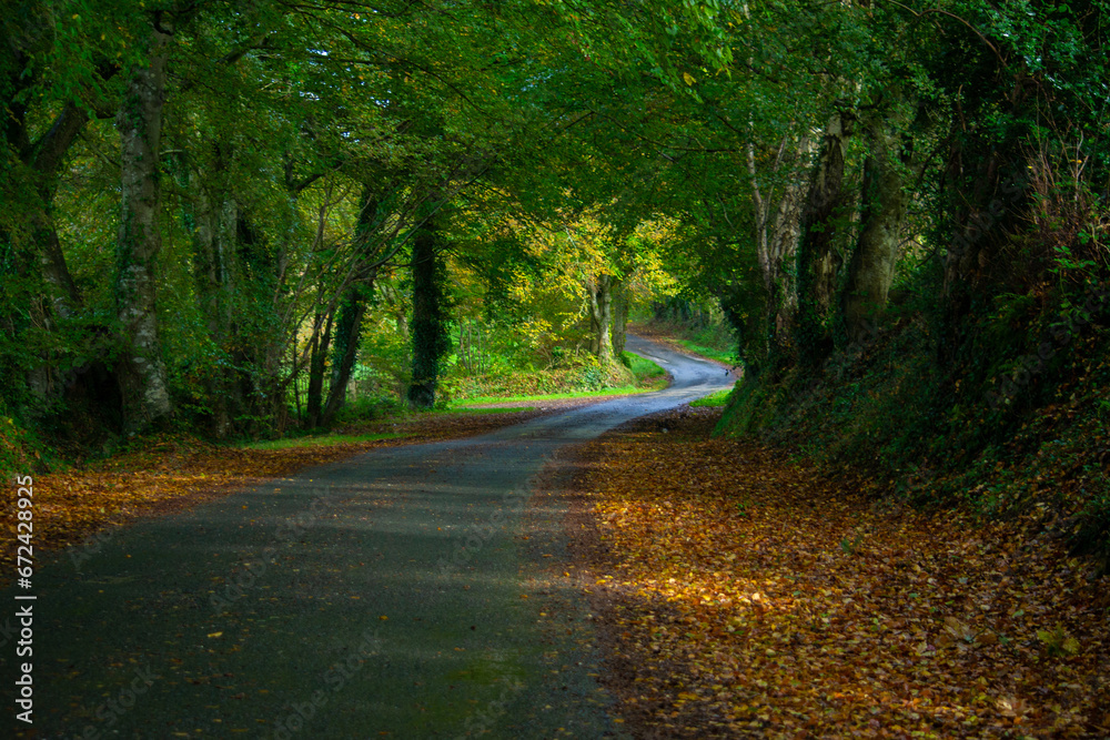 Naklejka premium Promenade dans le village du Vast, dans la vallée de Saire, Cotentin, Normandie, France
