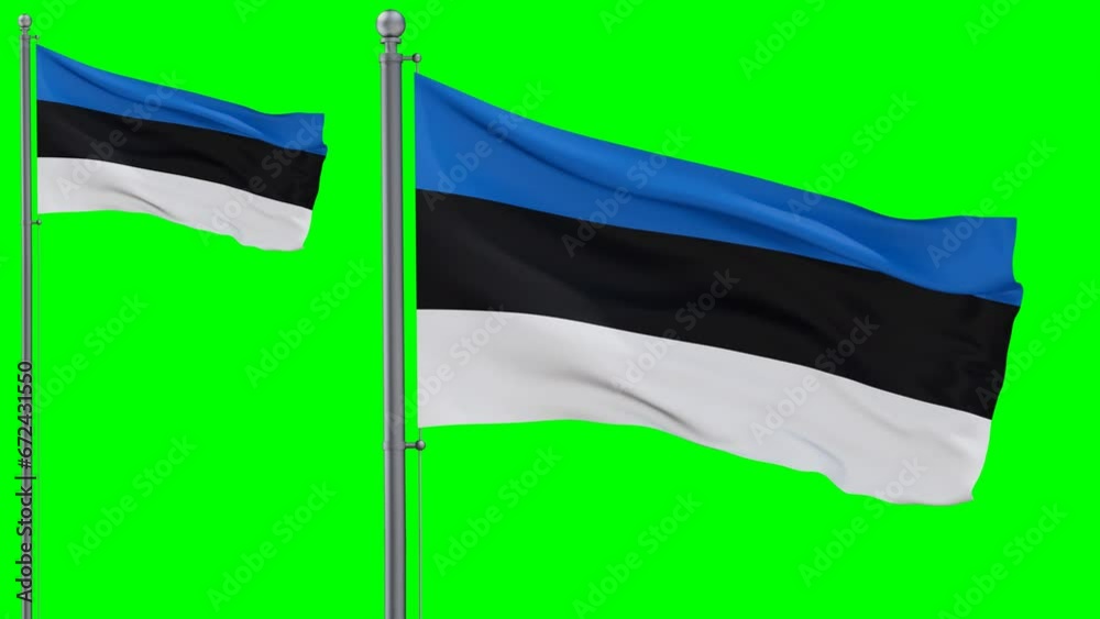 Estonia looped flag waving in the wind with colored chroma key for easy ...