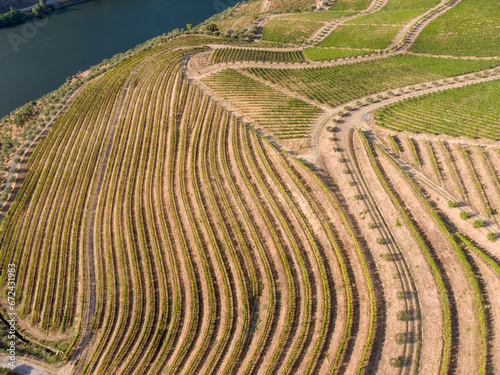 Drone footage of vineyards on the banks of the Duoro in Portugal's Duoro Valley