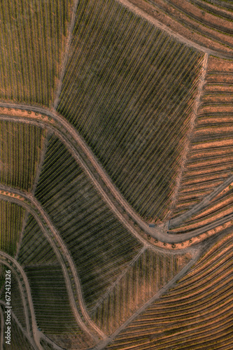 Drone footage of vineyards on the banks of the Duoro in Portugal's Duoro Valley
