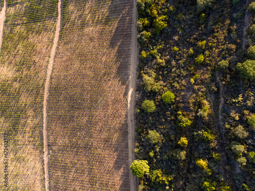 Drone footage of vineyards on the banks of the Duoro in Portugal's Duoro Valley
