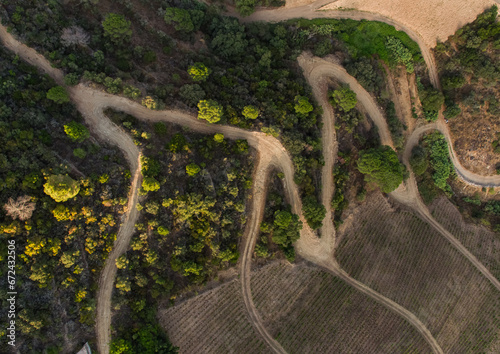 Drone footage of vineyards on the banks of the Duoro in Portugal's Duoro Valley
