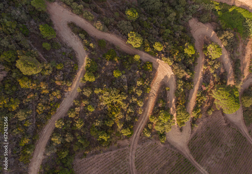 Drone footage of vineyards on the banks of the Duoro in Portugal's Duoro Valley
