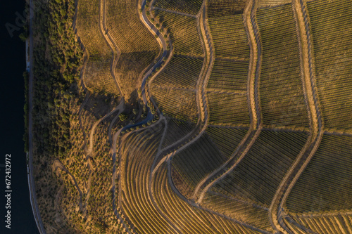 Drone footage of vineyards on the banks of the Duoro in Portugal's Duoro Valley.   : AL   foto Wouter Borre  WBE20190812