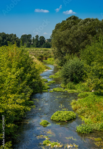 river in the countryside, greenery and reeds