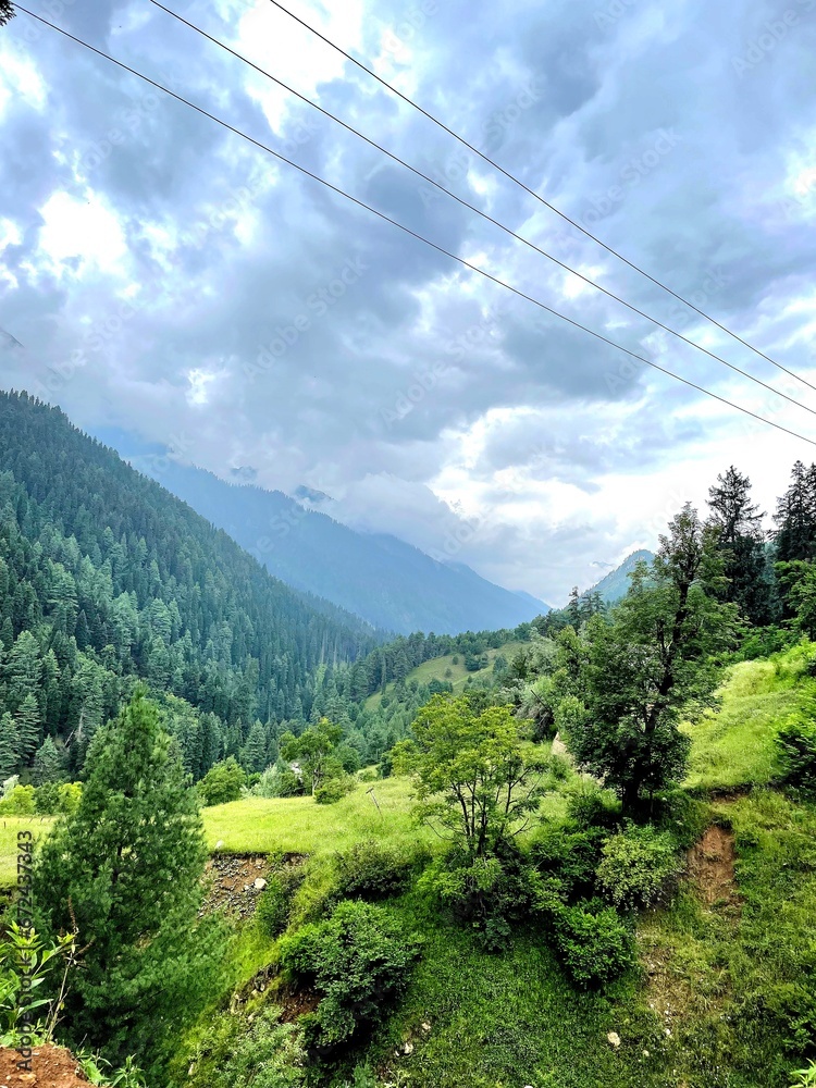 A picturesque valley, blanketed by a lush forest, is a captivating oasis. The verdant landscape, with rolling hills and distant mountains, exudes tranquility and natural splendor. A picturesque valley, blanketed by a lush forest, is a captivating oasis. The verdant landscape, with rolling hills and distant mountains, exudes tranquility and natural splendor.