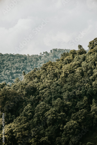 Serene Bwindi Impenetrable Forest, a biodiverse haven