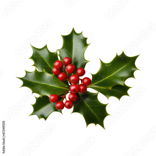 Holiday Holly Leaf Watercolor Collection: High-Quality PNGs on a Transparent Background