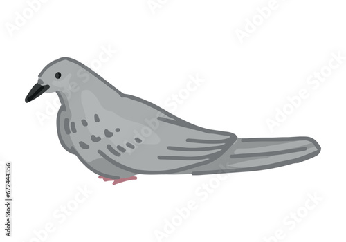 Doodle of pigeon. Cartoon clipart of city bird. Contemporary vector illustration isolated on white background.