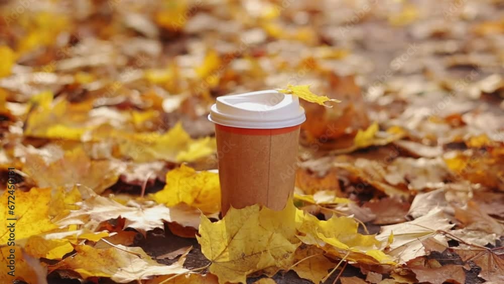 Eco zero waste paper cup take away with hot drink, coffee or tea outdoors in the sunny autumn park. Falling colorful leaves on background. Concept of seasonal warm drinks to go in cold weather