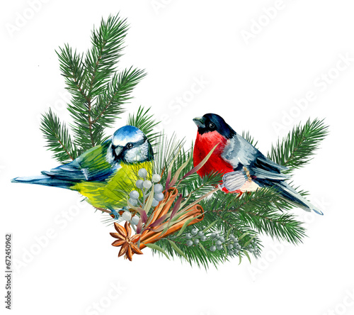 christmas tree branch with A tit and a bullfinches © Marina