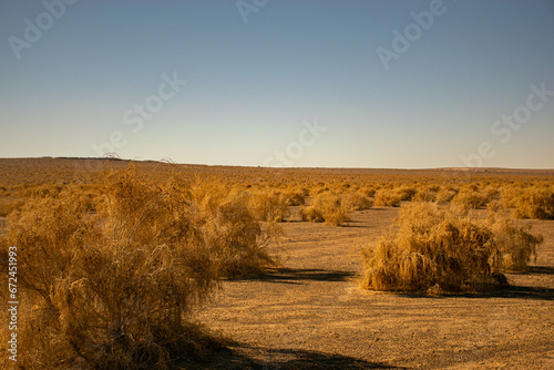 Quadro su tela Tumbleweeds