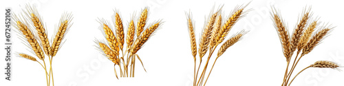 An ear of wheat Hyperrealistic Highly Detailed Isolated On Transparent Background Png File