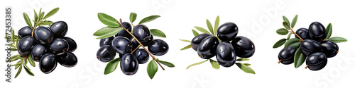 Black olives with leaves Hyperrealistic Highly Detailed Isolated On Transparent Background Png File