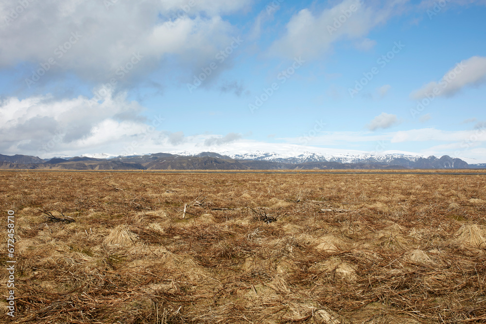 Dried plants on field and mountain range against sky Dried plants on field and mountain range against sky