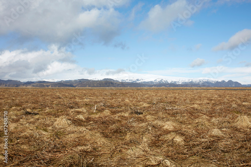Dried plants on field and mountain range against sky photo