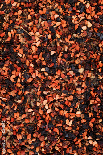 Dried Rose Hip Tea Background Texture