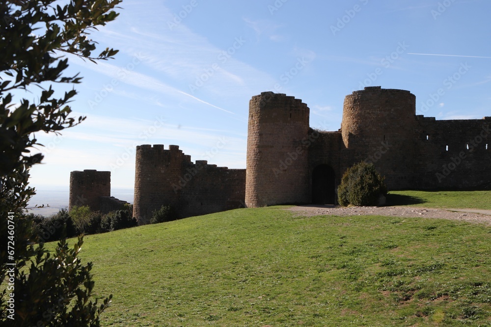 Scenic view of a medieval castle on a green hill on a sunny day