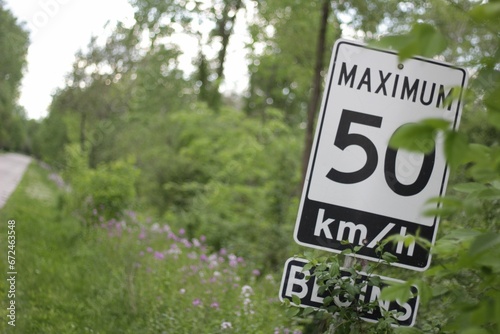 Maximum 50 km an hour sign with overgrown plants in Ontario, Canada. photo