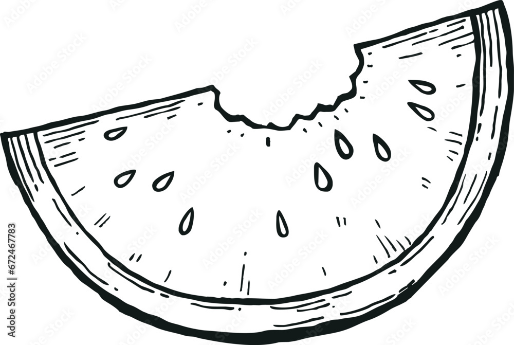 Slice and whole of watermelon outline. Coloring page. Vector illustration isolated on white background.