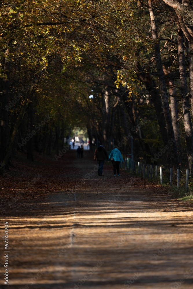 Group of people walking along a picturesque path lined with trees Group of people walking along a picturesque path lined with trees