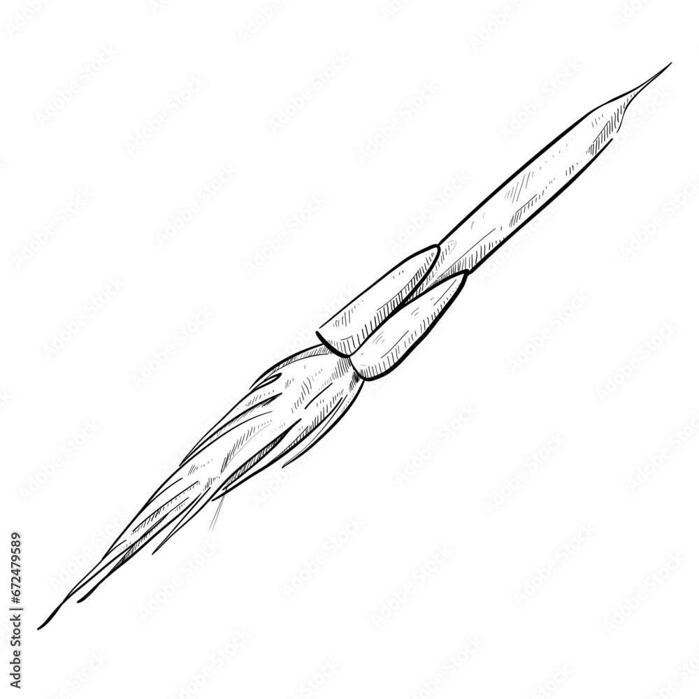 Obraz premium Rocket handdrawn illustration