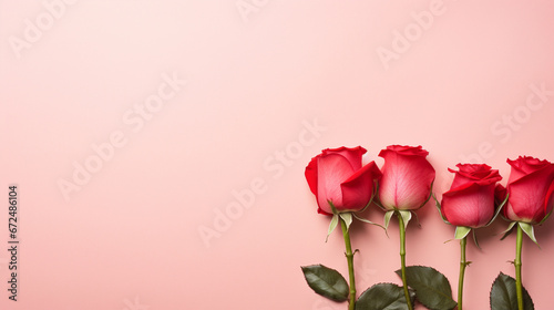 pink rose HD 8K wallpaper Stock Photographic Image 
