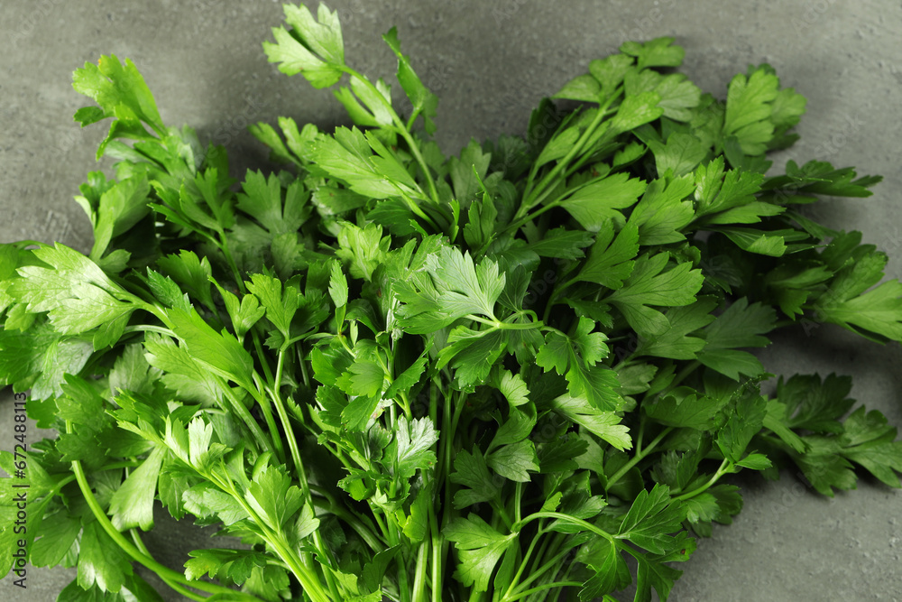 Bunch of fresh green parsley leaves on grey table, top view Bunch of fresh green parsley leaves on grey table, top view