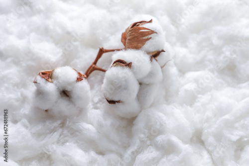 Closeup view of soft flowers on clean cotton